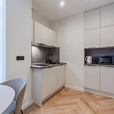 Apartment Elegant In Petite France Strasbourg